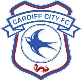 Cardiff City - buybasketballnow