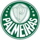 SE Palmeiras - buybasketballnow