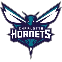 Charlotte Hornets - buybasketballnow