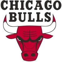Chicago Bulls - buybasketballnow