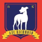 AFC Richmond - buybasketballnow