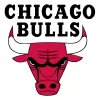 Chicago Bulls - buybasketballnow