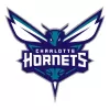 Charlotte Hornets - buybasketballnow