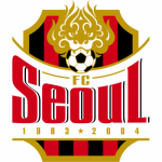 FC Seoul - buybasketballnow