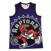 Men's Vince Carter #15 Toronto Raptors NBA Classic Jersey - buybasketballnow