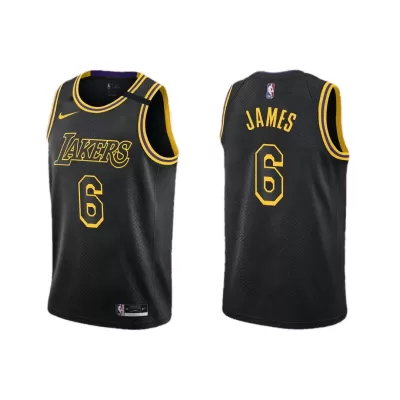 Kids's LeBron James #6 Swingman NBA Jersey - buybasketballnow