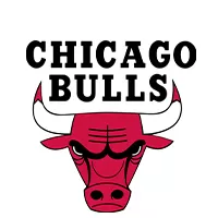 Played for Team - buybasketballnow