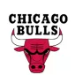 Played for Team - buybasketballnow