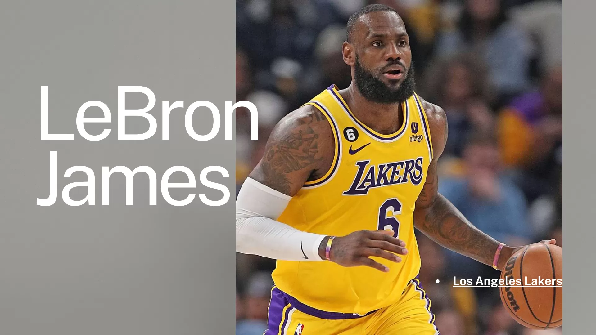 LeBron James - buybasketballnow