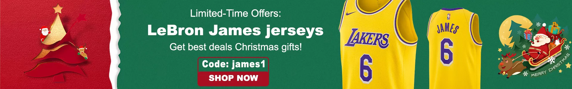LeBron James Exclusive Offer - buybasketballnow